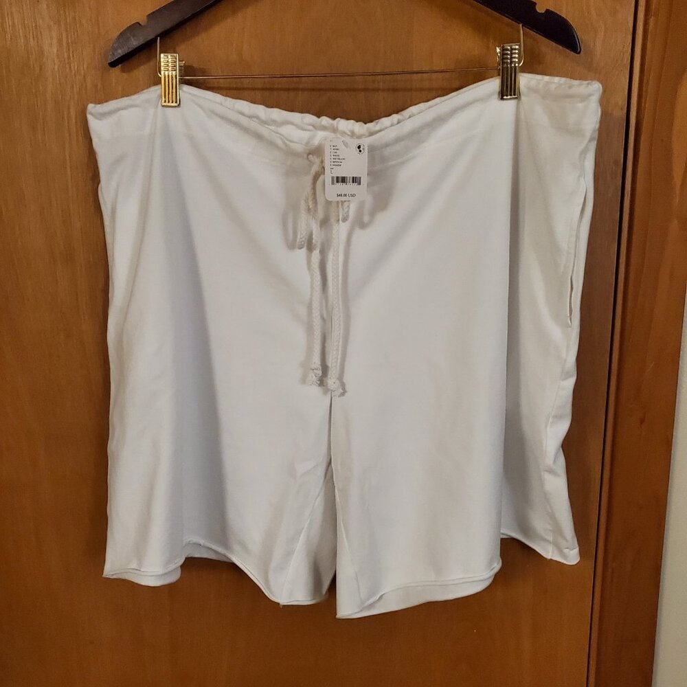 Free People Easy Rider Shorts Women's Large White NWT - Picture 3 of 7